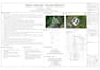 design complete solar pv system drawings, sld, and energy yield report